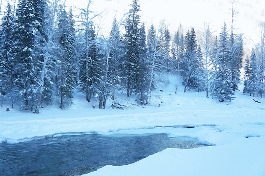 冬日新疆喀纳斯仙境落雪湖泊树林