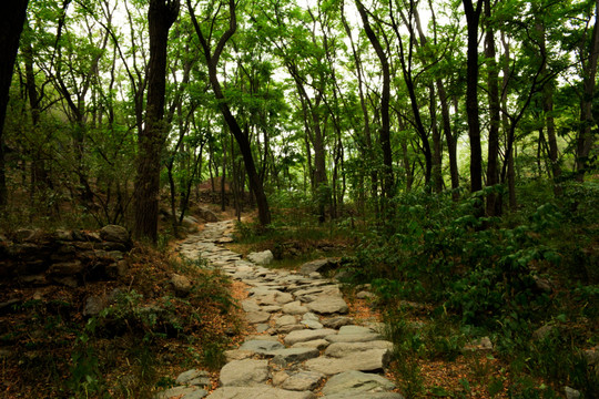 景观园林山水景区