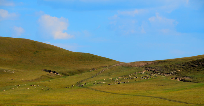 遍地牛羊的内蒙古草原