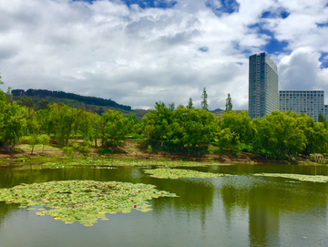 抚仙湖月亮湾湿地