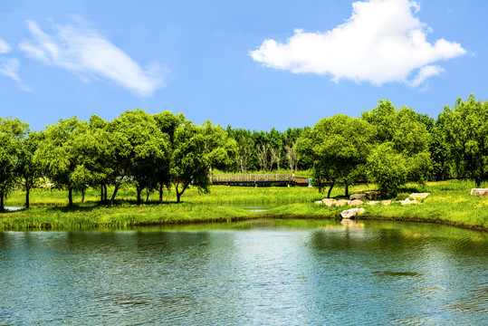 蓝天森林湖水