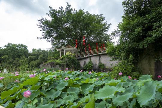 广州番禺莲花山风景区