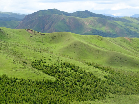 草原山坡