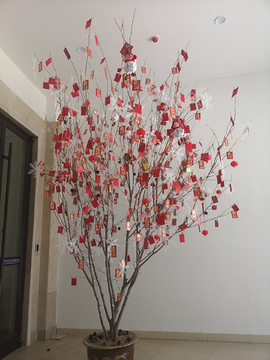 红包树