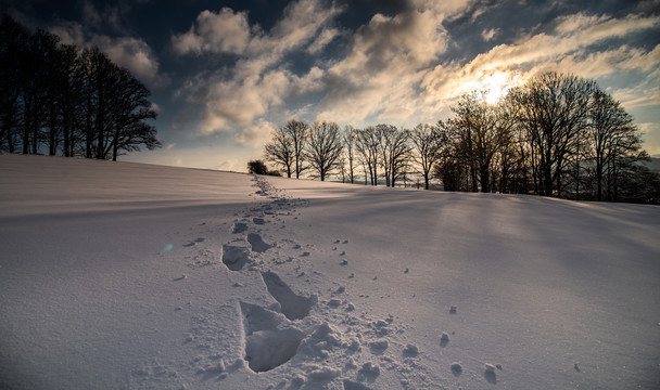 高原雪景