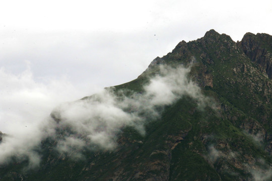 高山晨雾水墨画