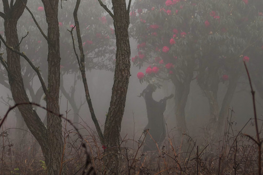 菌子山雨雾风光