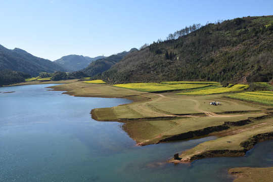 罗平螺丝田油菜花风光