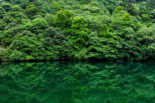 绿水青山