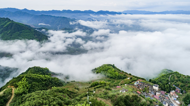 高山云海