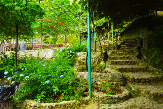 花园石阶