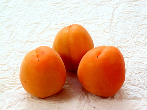 高清杏子