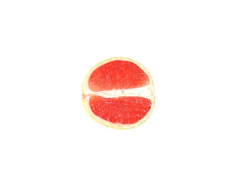 血柚
