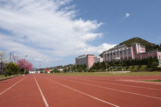 校园樱花