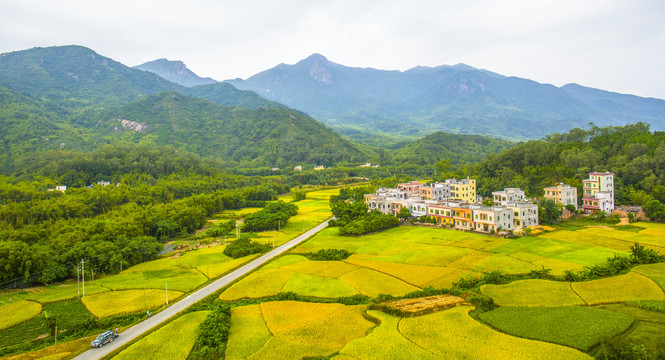 乡村风光