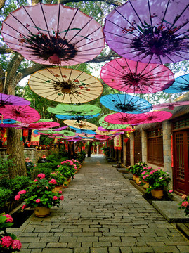 花雨伞石板街