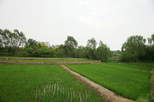 田间地头