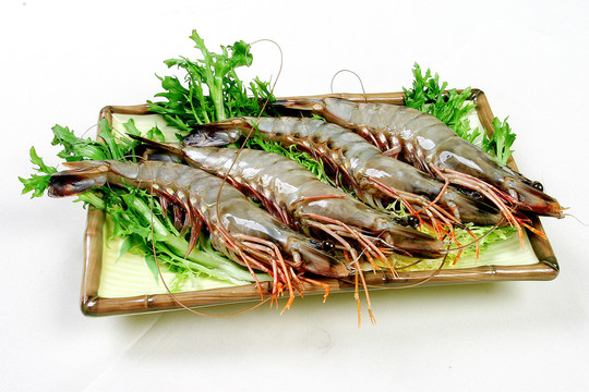 生明虾