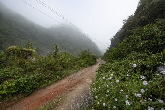 乡村小路