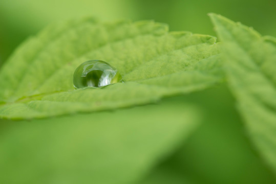 水滴