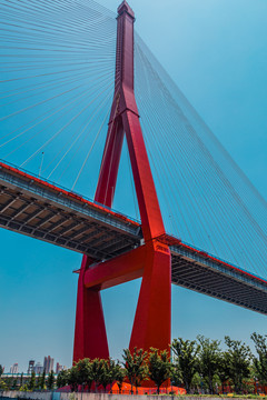 红色杨浦大桥