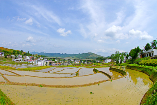 中峰贡米基地BZ