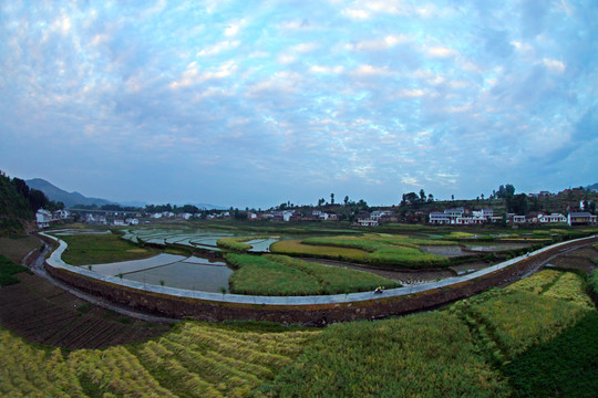 中峰贡米基地ES