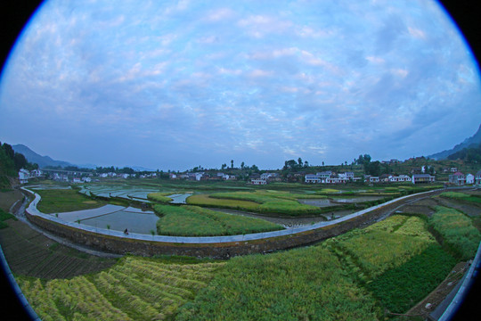 中峰贡米基地ET