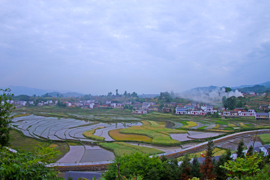 中峰贡米基地EU