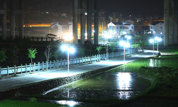 中峰贡米基地EY