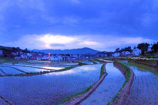 中峰贡米基地GU