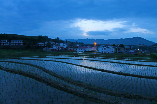 中峰贡米基地GV
