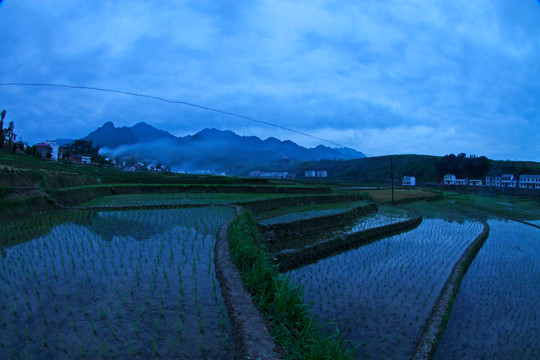 中峰贡米基地GX