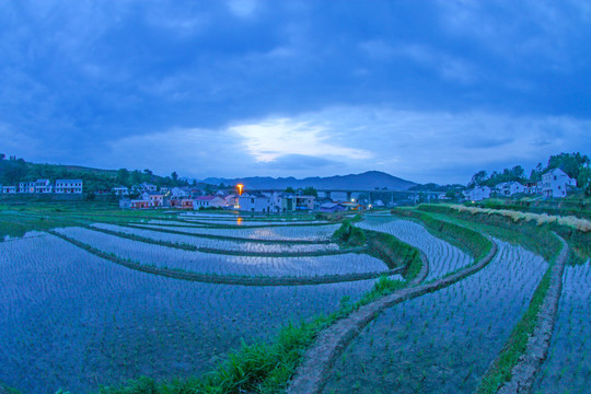 中峰贡米基地GZ