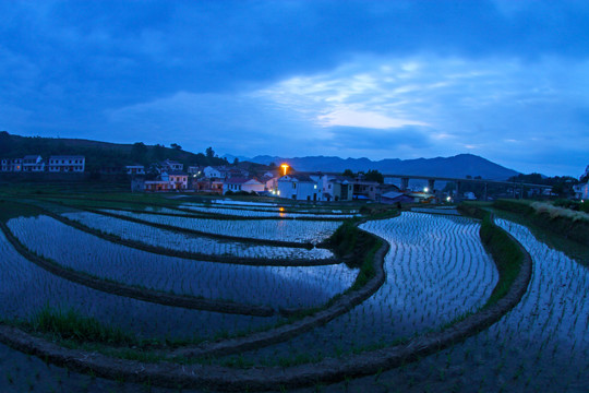 中峰贡米基地HB