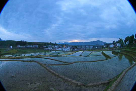 中峰贡米基地GH