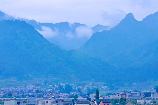 中峰贡米基地I
