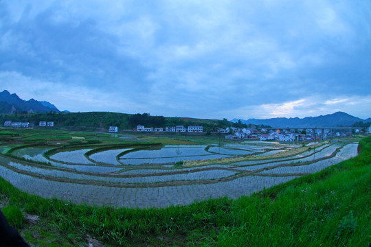 中峰贡米基地GL