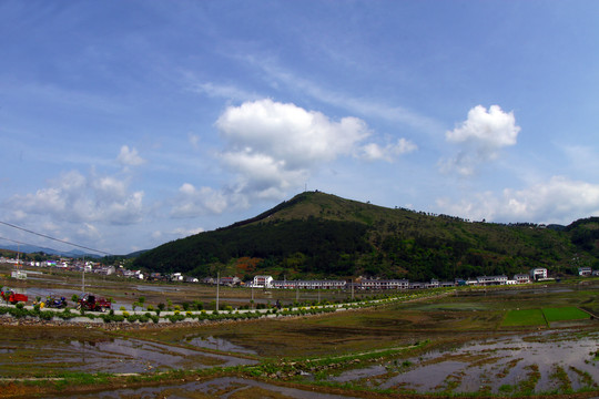 中峰贡米基地U