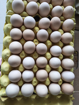 一板鸡蛋