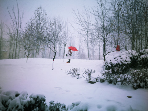 雪中红伞