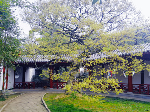 园林建筑