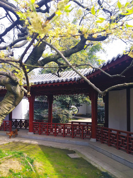 园林建筑