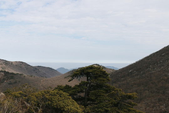 龙王山风景区