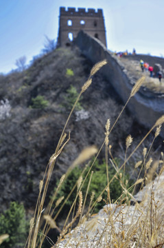 金山岭长城