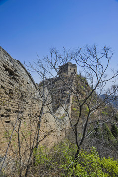 早春金山岭