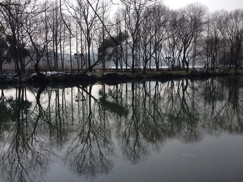水中倒影