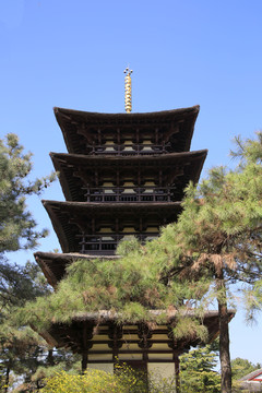 日本木塔