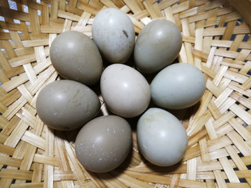 野鸡蛋