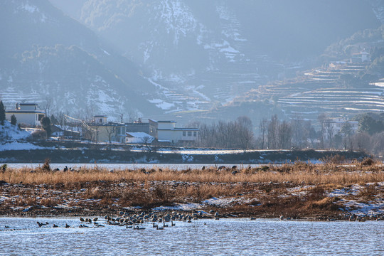 念湖雪景